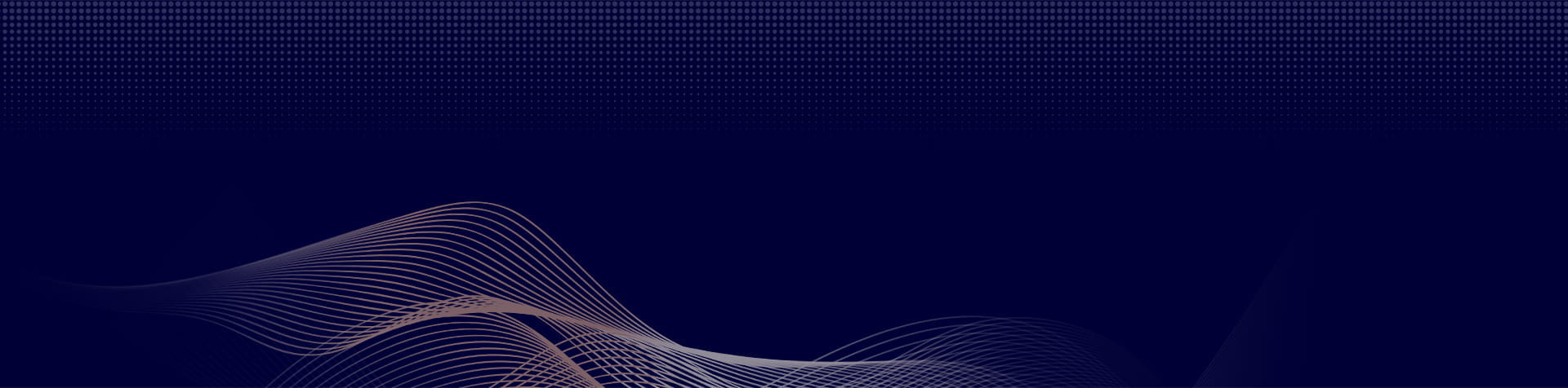 高级搜索 AE伦迪